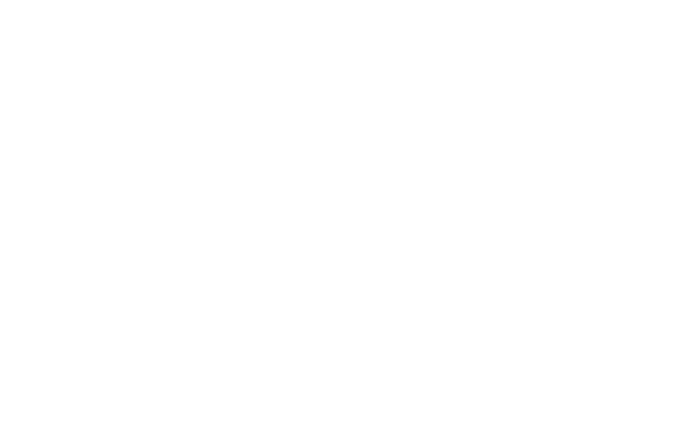 BrandWorks Logo Icon